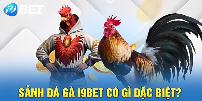 Một số điểm đặc biệt của sảnh đá gà I9BET