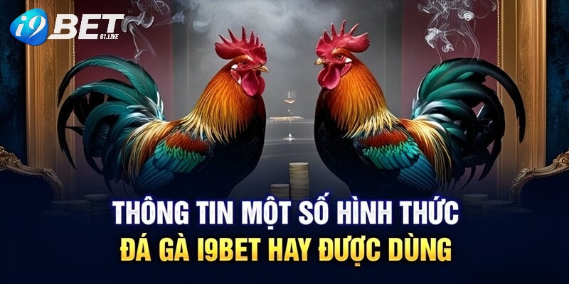 Một số hình thức đá gà hấp dẫn tại I9BET