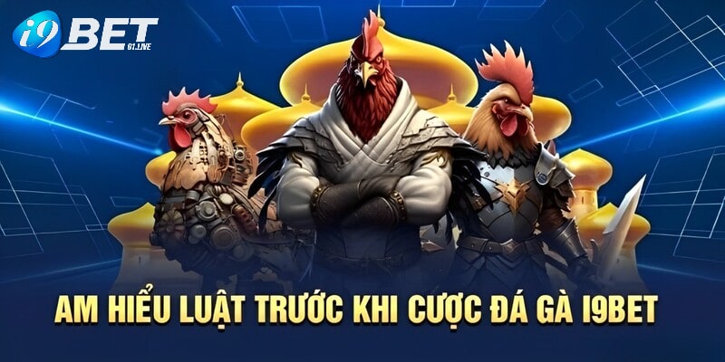 Am hiểu mọi luật trước khi thực cược tại đá gà I9BET