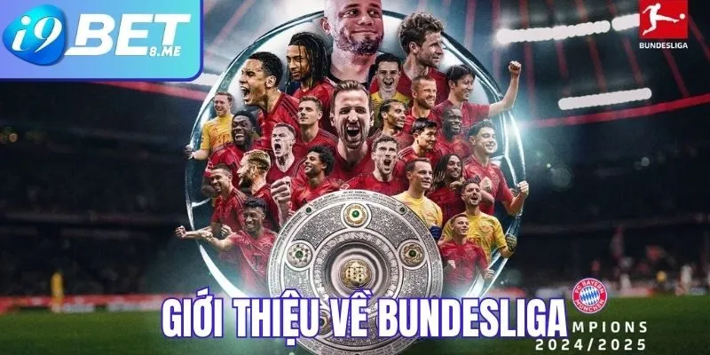 Giới thiệu về Bundesliga 