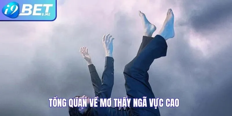 Tổng Quan Về Mơ Thấy Ngã Vực Cao
