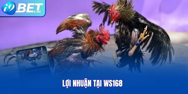 Lợi nhuận tại WS168